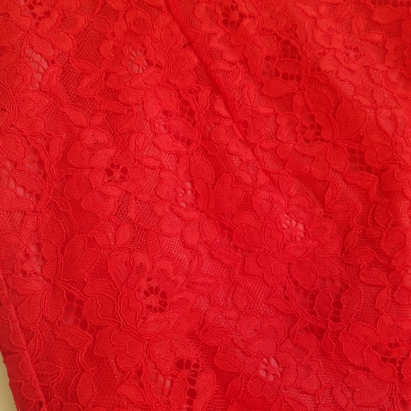 Shoshanna Red Lace Sleeveless Dress - Picture 10 of 11